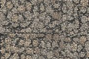 Ковровая плитка Interface Human Nature 840 308076 Shale фото  | FLOORDEALER